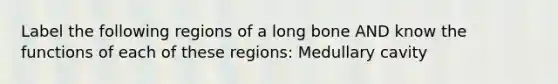 Label the following regions of a long bone AND know the functions of each of these regions: Medullary cavity