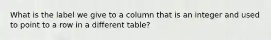 What is the label we give to a column that is an integer and used to point to a row in a different table?