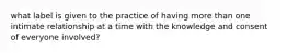 what label is given to the practice of having more than one intimate relationship at a time with the knowledge and consent of everyone involved?