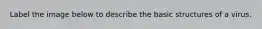 Label the image below to describe the basic structures of a virus.
