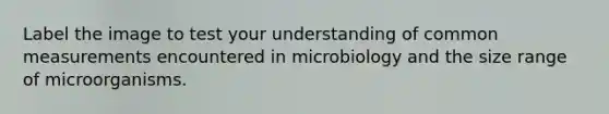 Label the image to test your understanding of common measurements encountered in microbiology and the size range of microorganisms.