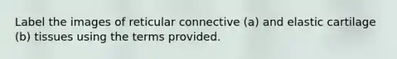 Label the images of reticular connective (a) and elastic cartilage (b) tissues using the terms provided.
