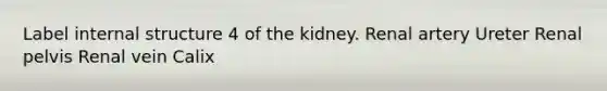 Label internal structure 4 of the kidney. Renal artery Ureter Renal pelvis Renal vein Calix