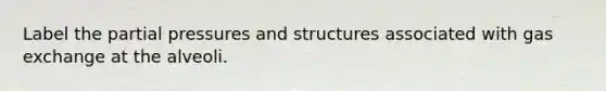 Label the partial pressures and structures associated with gas exchange at the alveoli.