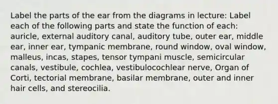 Label the parts of the ear from the diagrams in lecture: Label each of the following parts and state the function of each: auricle, external auditory canal, auditory tube, outer ear, middle ear, inner ear, tympanic membrane, round window, oval window, malleus, incas, stapes, tensor tympani muscle, semicircular canals, vestibule, cochlea, vestibulocochlear nerve, Organ of Corti, tectorial membrane, basilar membrane, outer and inner hair cells, and stereocilia.