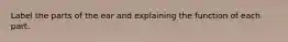 Label the parts of the ear and explaining the function of each part.