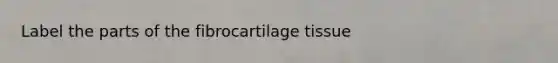 Label the parts of the fibrocartilage tissue