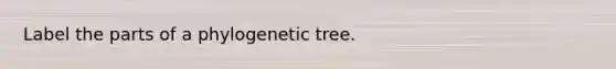 Label the parts of a phylogenetic tree.