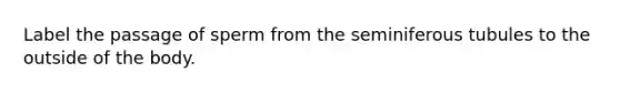Label the passage of sperm from the seminiferous tubules to the outside of the body.