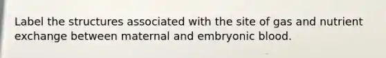 Label the structures associated with the site of gas and nutrient exchange between maternal and embryonic blood.