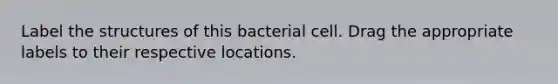 Label the structures of this bacterial cell. Drag the appropriate labels to their respective locations.