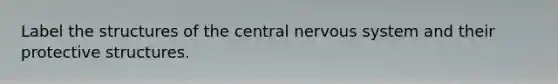 Label the structures of the central nervous system and their protective structures.