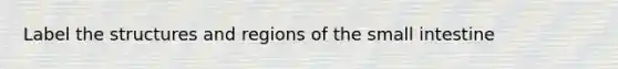 Label the structures and regions of the small intestine