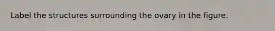 Label the structures surrounding the ovary in the figure.