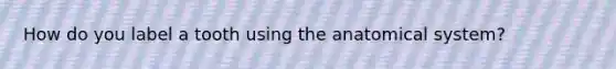 How do you label a tooth using the anatomical system?
