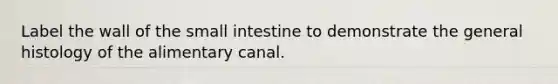 Label the wall of the small intestine to demonstrate the general histology of the alimentary canal.