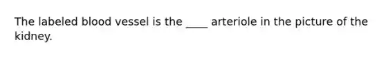 The labeled blood vessel is the ____ arteriole in the picture of the kidney.