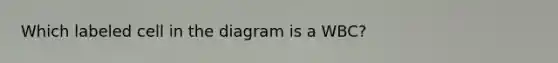 Which labeled cell in the diagram is a WBC?