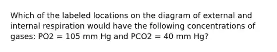 Which of the labeled locations on the diagram of external and internal respiration would have the following concentrations of gases: PO2 = 105 mm Hg and PCO2 = 40 mm Hg?