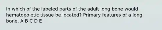 In which of the labeled parts of the adult long bone would hematopoietic tissue be located? Primary features of a long bone. A B C D E