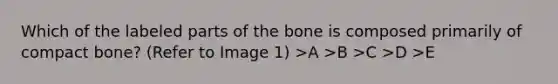 Which of the labeled parts of the bone is composed primarily of compact bone? (Refer to Image 1) >A >B >C >D >E