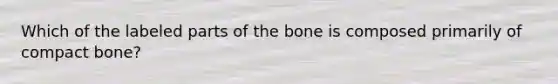 Which of the labeled parts of the bone is composed primarily of compact bone?