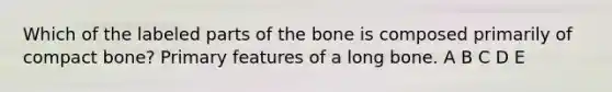 Which of the labeled parts of the bone is composed primarily of compact bone? Primary features of a long bone. A B C D E