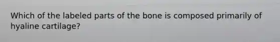 Which of the labeled parts of the bone is composed primarily of hyaline cartilage?