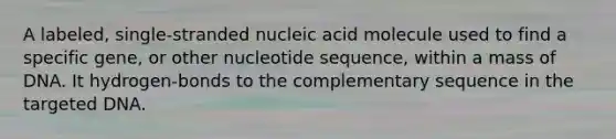 A labeled, single-stranded nucleic acid molecule used to find a specific gene, or other nucleotide sequence, within a mass of DNA. It hydrogen-bonds to the complementary sequence in the targeted DNA.