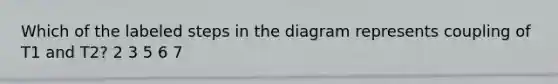 Which of the labeled steps in the diagram represents coupling of T1 and T2? 2 3 5 6 7