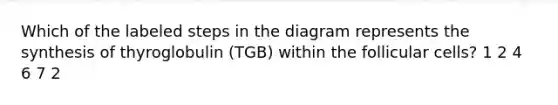 Which of the labeled steps in the diagram represents the synthesis of thyroglobulin (TGB) within the follicular cells? 1 2 4 6 7 2