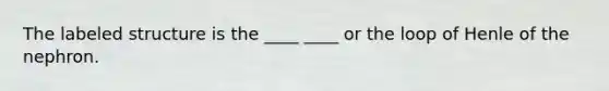 The labeled structure is the ____ ____ or the loop of Henle of the nephron.