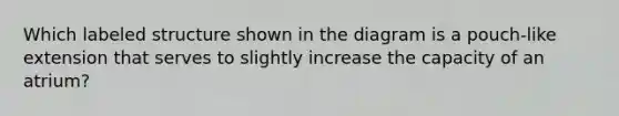 Which labeled structure shown in the diagram is a pouch-like extension that serves to slightly increase the capacity of an atrium?