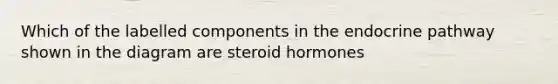 Which of the labelled components in the endocrine pathway shown in the diagram are steroid hormones