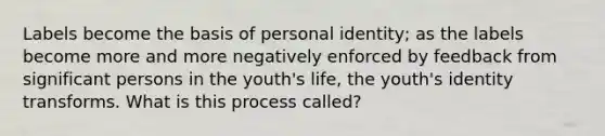 Labels become the basis of personal identity; as the labels become more and more negatively enforced by feedback from significant persons in the youth's life, the youth's identity transforms. What is this process called?