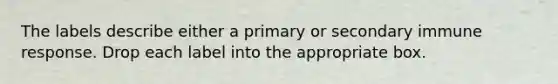 The labels describe either a primary or secondary immune response. Drop each label into the appropriate box.