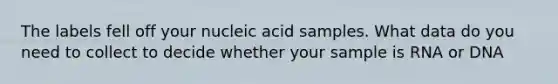 The labels fell off your nucleic acid samples. What data do you need to collect to decide whether your sample is RNA or DNA