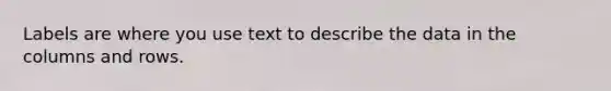 Labels are where you use text to describe the data in the columns and rows.