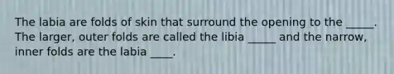 The labia are folds of skin that surround the opening to the _____. The larger, outer folds are called the libia _____ and the narrow, inner folds are the labia ____.