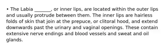 • The Labia _______, or inner lips, are located within the outer lips and usually protrude between them. The inner lips are hairless folds of skin that join at the prepuce, or clitoral hood, and extend downwards past the urinary and vaginal openings. These contain extensive nerve endings and blood vessels and sweat and oil glands.