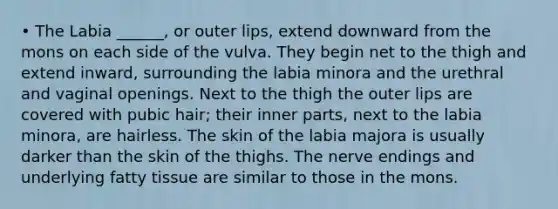 • The Labia ______, or outer lips, extend downward from the mons on each side of the vulva. They begin net to the thigh and extend inward, surrounding the labia minora and the urethral and vaginal openings. Next to the thigh the outer lips are covered with pubic hair; their inner parts, next to the labia minora, are hairless. The skin of the labia majora is usually darker than the skin of the thighs. The nerve endings and underlying fatty tissue are similar to those in the mons.