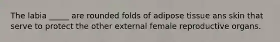 The labia _____ are rounded folds of adipose tissue ans skin that serve to protect the other external female reproductive organs.