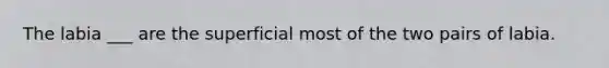 The labia ___ are the superficial most of the two pairs of labia.