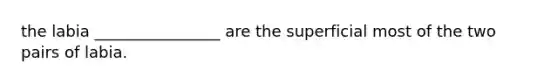 the labia ________________ are the superficial most of the two pairs of labia.