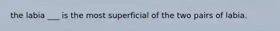 the labia ___ is the most superficial of the two pairs of labia.