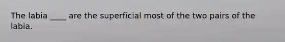 The labia ____ are the superficial most of the two pairs of the labia.