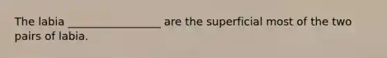 The labia _________________ are the superficial most of the two pairs of labia.