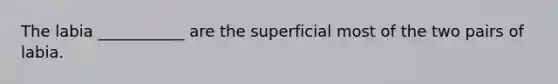 The labia ___________ are the superficial most of the two pairs of labia.