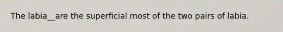 The labia__are the superficial most of the two pairs of labia.