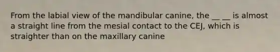 From the labial view of the mandibular canine, the __ __ is almost a straight line from the mesial contact to the CEJ, which is straighter than on the maxillary canine